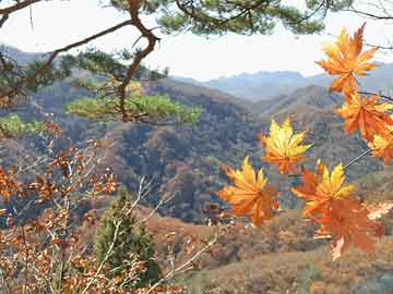 包含合川方形不锈钢水箱规格的词条