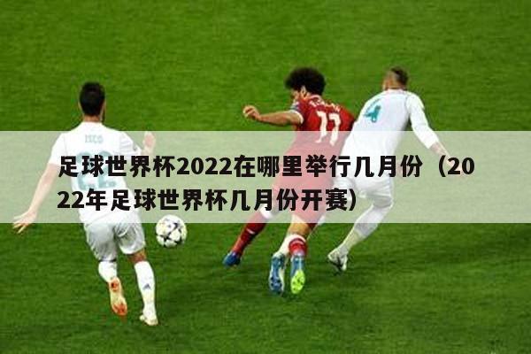 2022年世界杯回放，2022年世界杯回放在哪里！